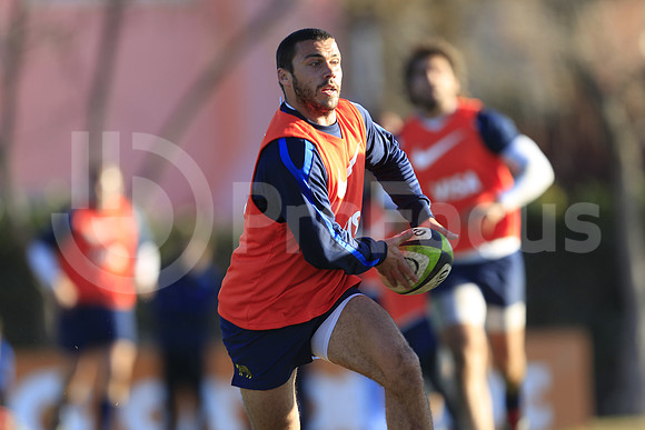 Entrenamiento / Training Pumas