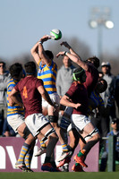 NEWMAN 19 vs HINDU 38