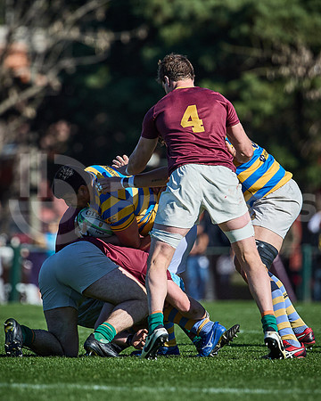 Fecha 19 - URBA Top 12 Copa Macro - Newman ante Hindú 40 a 7