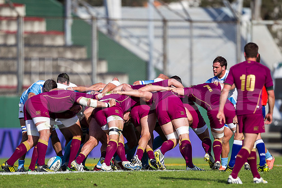PUMAS VS INGLATERRA (SALTA)
