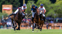 LA DOLFINA POLO RANCH 16 vs 6 LA IRENITA