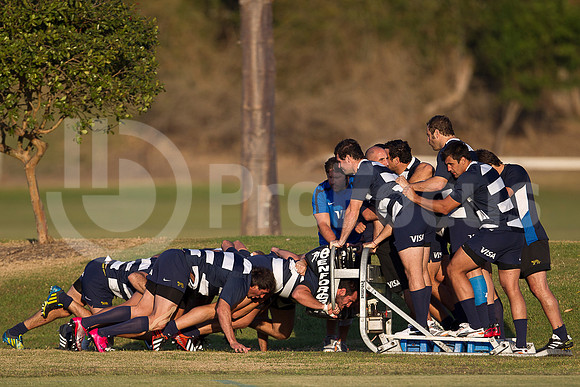 Entrenamiento / Training Pumas