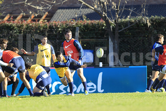 Entrenamiento / Training Pumas