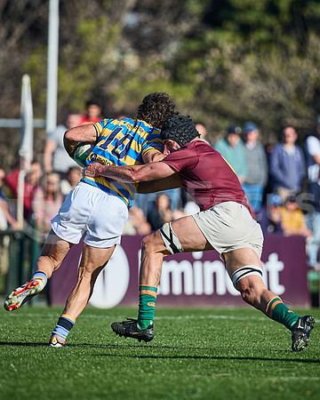 Fecha 19 - URBA Top 12 Copa Macro - Newman ante Hindú 40 a 7