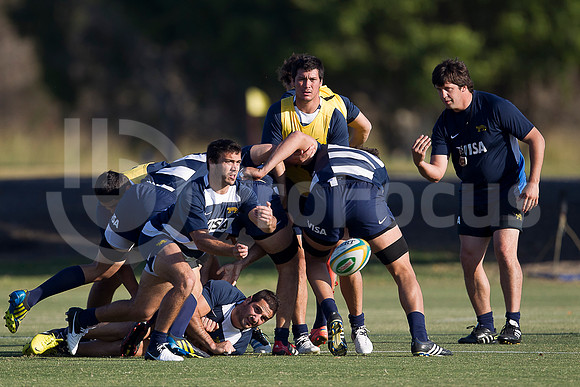Entrenamiento / Training Pumas