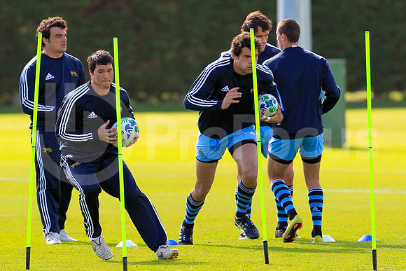 Entrenamiento / Training Pumas