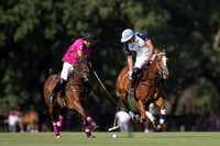 LA DOLFINA vs ALEGRIA