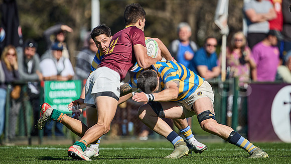 Fecha 19 - URBA Top 12 Copa Macro - Newman ante Hindú 40 a 7