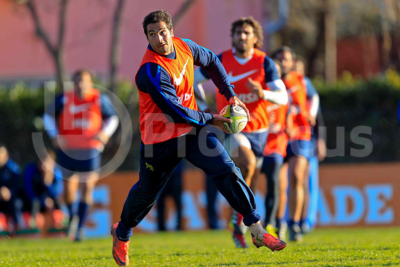 Entrenamiento / Training Pumas