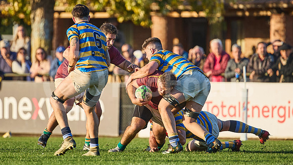 URBA Top 12 Copa Macro: Hindú vs Newman 22 a 40