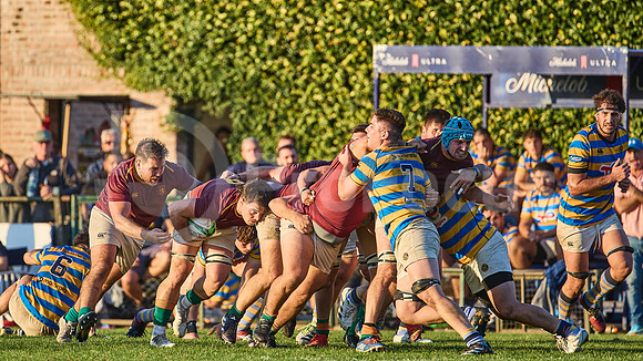 URBA Top 12 Copa Macro: Hindú vs Newman 22 a 40