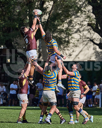 URBA Top 12 - Fecha 21 - Belgrano Athletic vs Hindú 42 a 29