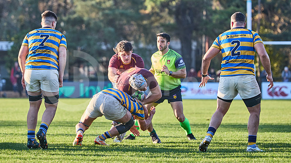 URBA Top 12 Copa Macro: Hindú vs Newman 22 a 40
