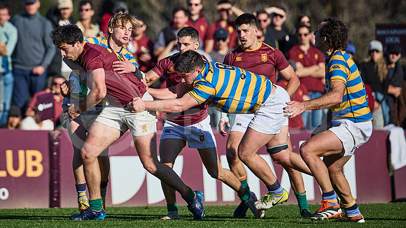 Fecha 19 - URBA Top 12 Copa Macro - Newman ante Hindú 40 a 7
