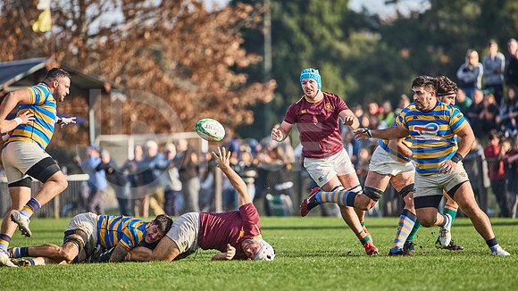 URBA Top 12 Copa Macro: Hindú vs Newman 22 a 40
